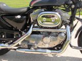 2003 Harley-Davidson XLH883  - Auto Dealer Ontario