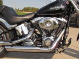 2007 Harley-Davidson Softail Custom FXSTC   - Auto Dealer Ontario