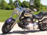 2009 Harley-Davidson Fat Boy FLSTF   - Auto Dealer Ontario