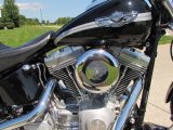 2003 Harley-Davidson Softail FXST   - Auto Dealer Ontario