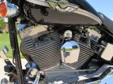 2003 Harley-Davidson Softail FXST   - Auto Dealer Ontario