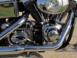 2003 Harley-Davidson Dyna Wide Glide FXDWG  - Auto Dealer Ontario