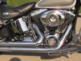 2008 Harley-Davidson Heritage Softail Classic FLSTC   - Auto Dealer Ontario