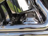 2008 Harley-Davidson Softail Custom FXSTC   - Auto Dealer Ontario