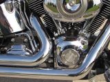 2008 Harley-Davidson Softail Custom FXSTC   - Auto Dealer Ontario