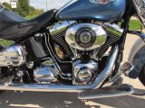 2005 Harley-Davidson Softail Deluxe FLSTN   - Auto Dealer Ontario