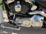 2005 Harley-Davidson Softail Deluxe FLSTN   - Auto Dealer Ontario