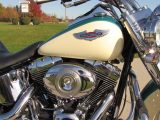 2009 Harley-Davidson Softail Deluxe FLSTN   - Auto Dealer Ontario