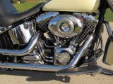 2009 Harley-Davidson Softail Deluxe FLSTN   - Auto Dealer Ontario