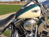 2009 Harley-Davidson Softail Deluxe FLSTN   - Auto Dealer Ontario