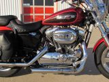 2013 Harley-Davidson XL1200C Custom  - Auto Dealer Ontario