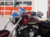 2013 Harley-Davidson XL1200C Custom  - Auto Dealer Ontario