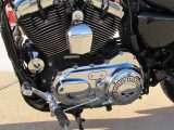 2013 Harley-Davidson XL1200C Custom  - Auto Dealer Ontario